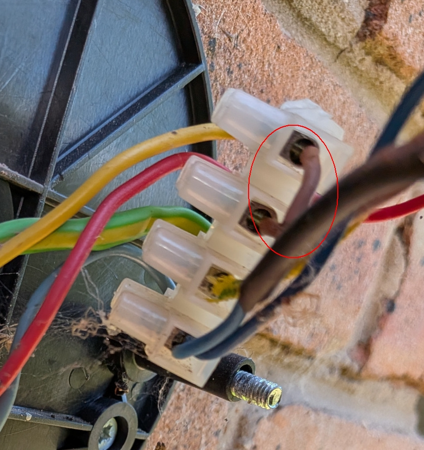 Wires.jpg