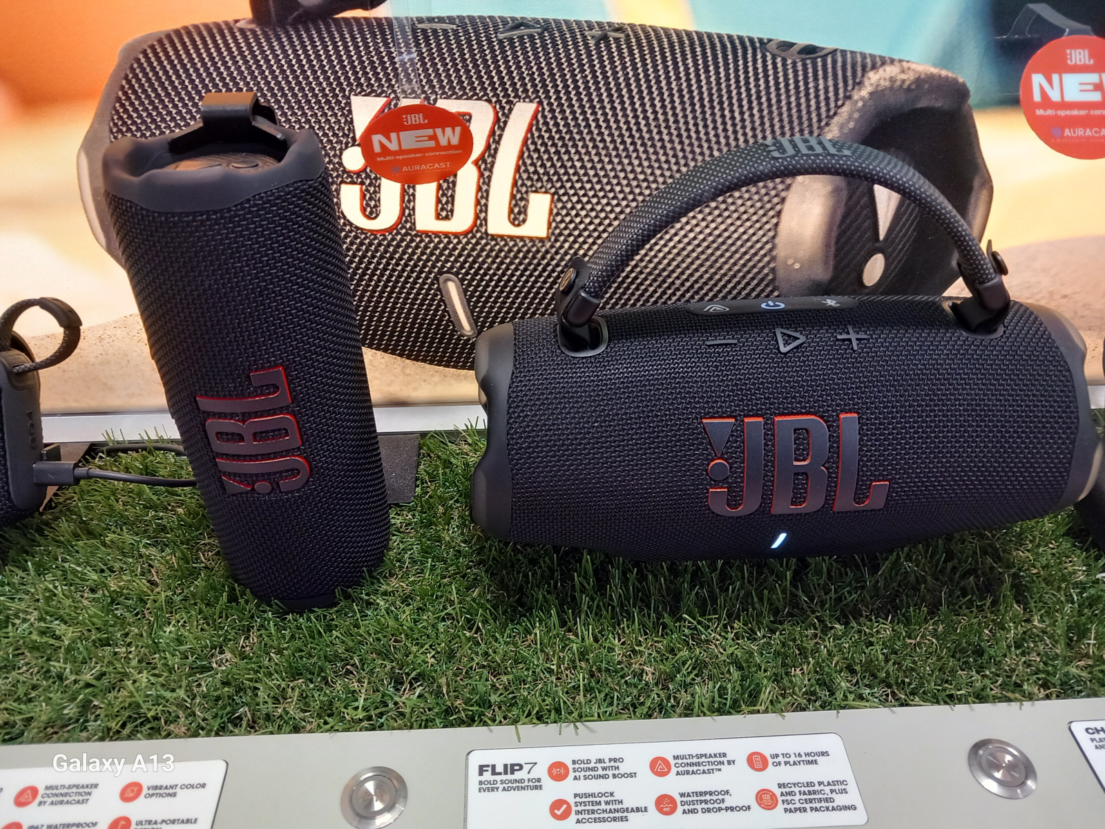 1000075595.jpg