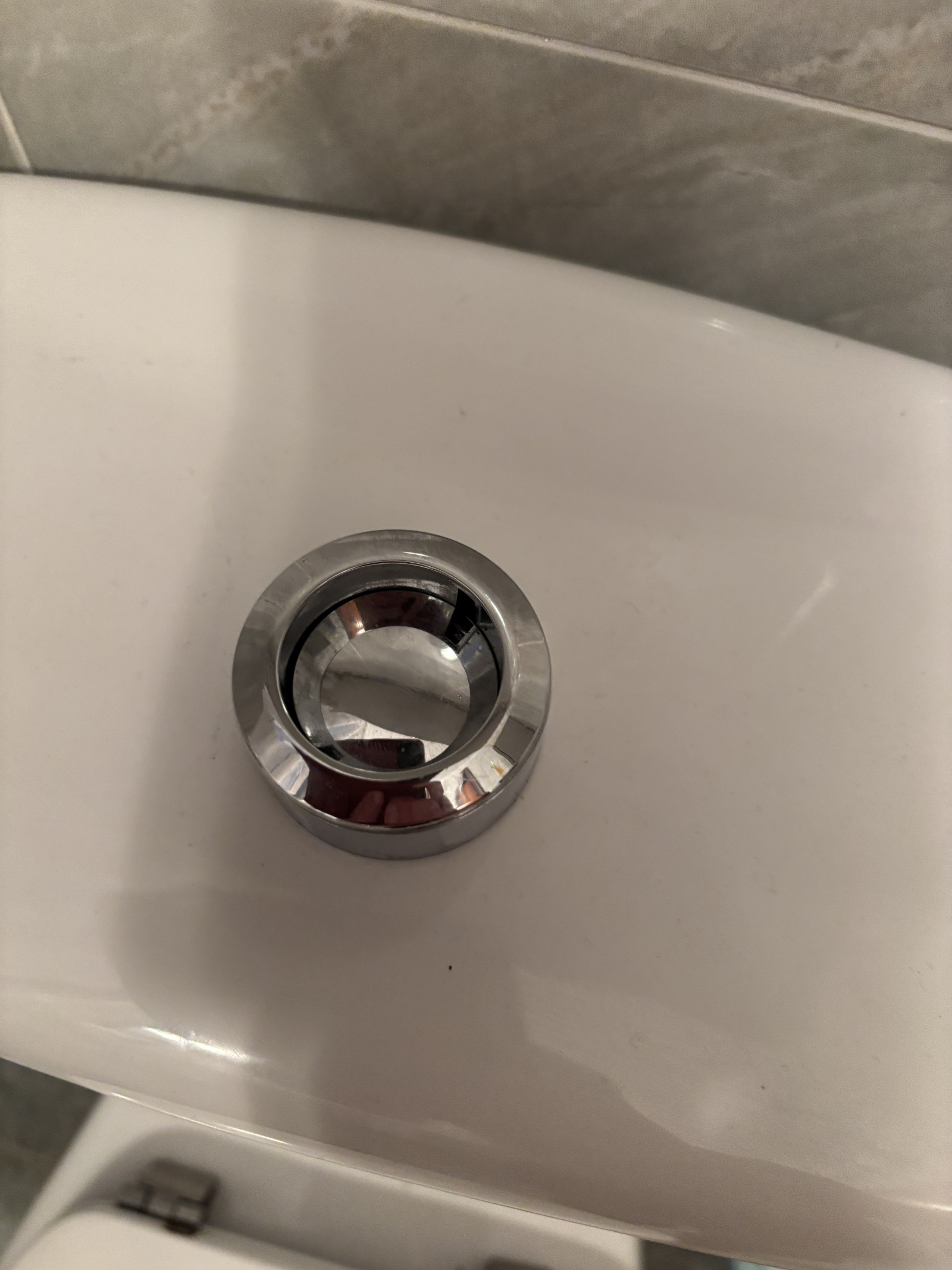 IMG_4131.jpeg